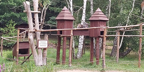 Powiększ grafikę: drewniane domki lemurów wśród drzew