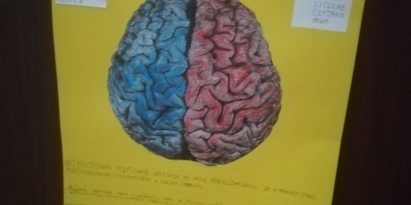 Powiększ grafikę: dni-mozgu-na-swiecie-w-polsce-i-w-naszej-szkole-52333.jpg