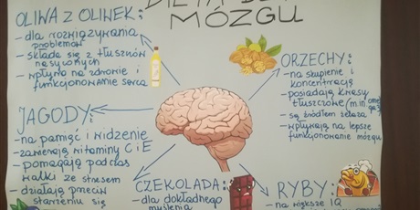 Powiększ grafikę: dni-mozgu-na-swiecie-w-polsce-i-w-naszej-szkole-52334.jpg
