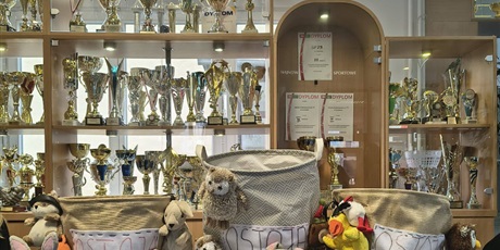 Powiększ grafikę: ii-edycja-akcji-dobroczynnej-dla-ostoi-680680.jpg