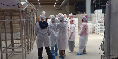 Powiększ grafikę: klasy-8-w-piekarni-pellowski-681405.jpg