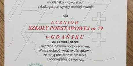 Powiększ grafikę: pomoc-dla-gdanskiego-schroniska-dla-zwierzat-promyk-145460.jpg