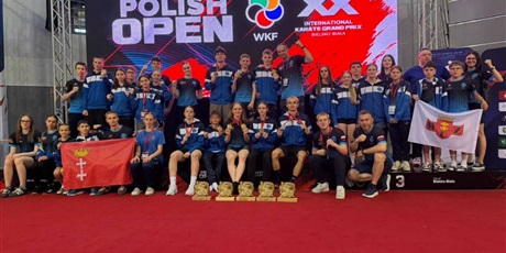 Powiększ grafikę: sukcesy-w-karate-sonkei-704771.jpg