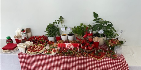 Powiększ grafikę: tydzien-zdrowia-w-klasach-0-3-689467.jpg