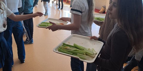 Powiększ grafikę: tydzien-zdrowia-w-klasach-4-8-smak-ruch-i-dobre-nawyki-na-cale-zycie-690338.jpg