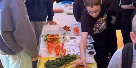 Powiększ grafikę: tydzien-zdrowia-w-klasach-4-8-smak-ruch-i-dobre-nawyki-na-cale-zycie-690344.jpg