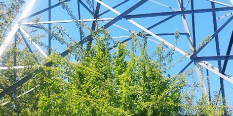 Powiększ grafikę: wyniki-szkolnego-konkursu-mat-foto-628179.jpg